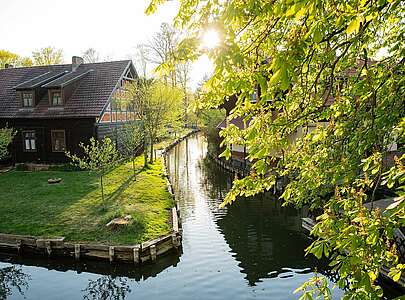 Fließ im Spreewald