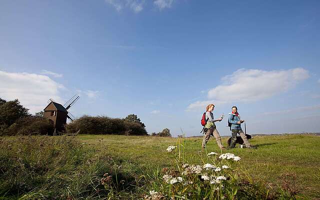 Wanderung bei Borne im Fläming