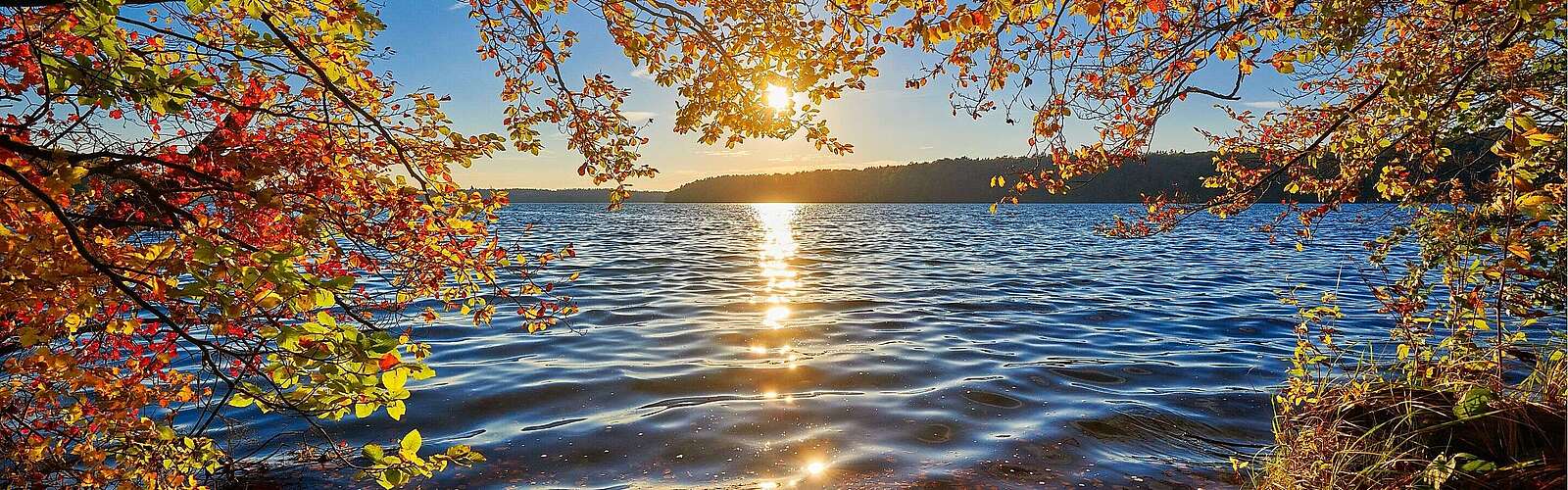 Goldener Herbst Header