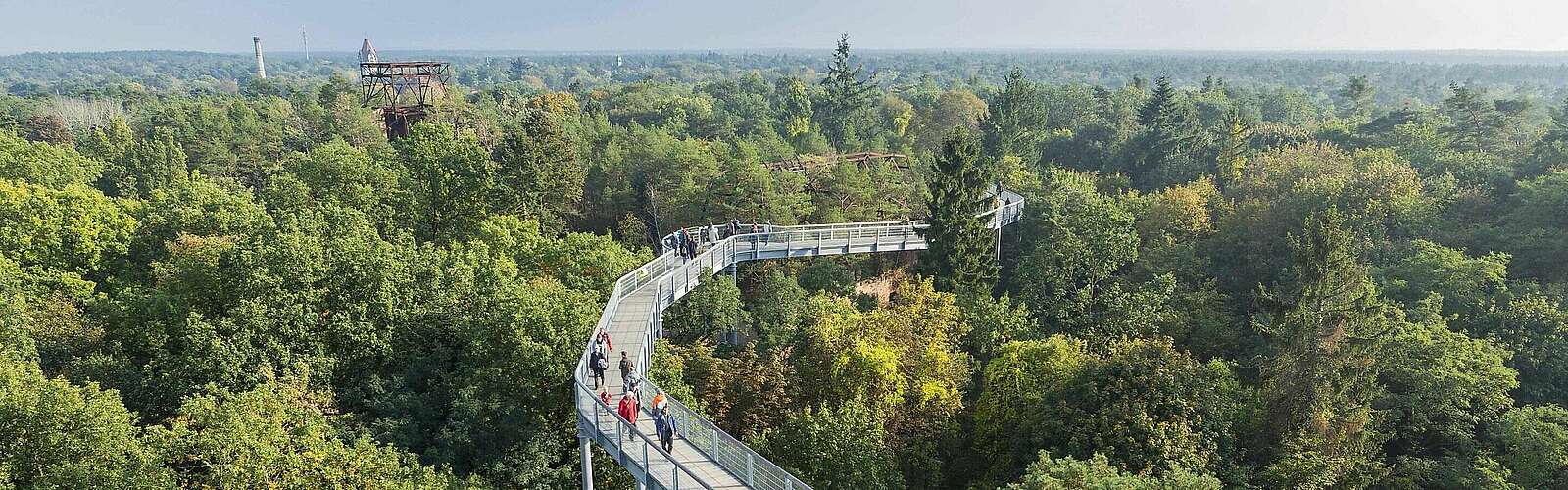 Baumkronenpfad Beelitz-Heilstätten,
            
        
                Picture: TMB Tourismus-Marketing Brandenburg GmbH/Steffen Lehmann
