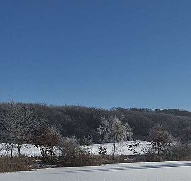 Winterliche Uckermark