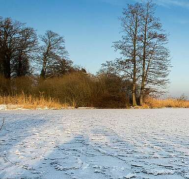 Winter im Havelland