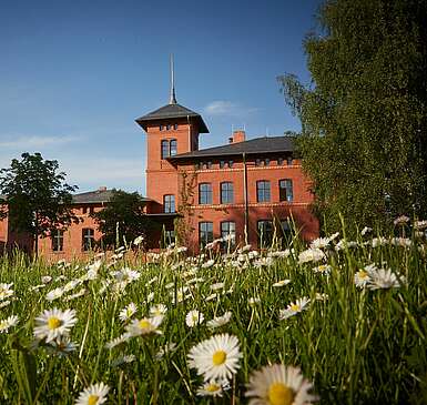 Museums & theme parks