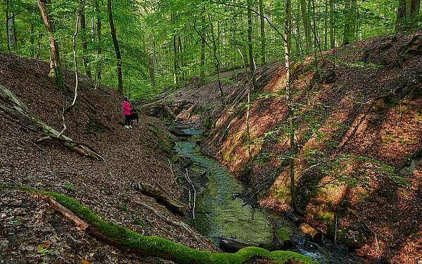 Wandern am Binenbach an der Boltenmühle