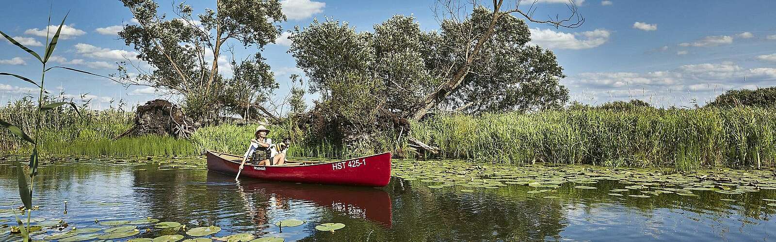 Kanufahrer im Nationalpark Unteres Odertal,
            
        
                Picture: TMB Tourismus-Marketing Brandenburg GmbH/Michael Handelmann