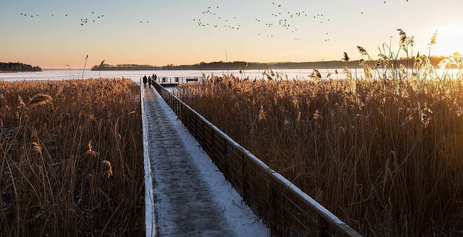 Winter am Scharmützelsee,
            
        
                Picture: TMB Tourismus-Marketing Brandenburg GmbH/Yorck Maecke