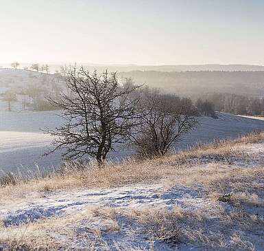 Rummelsberg at Brodowin