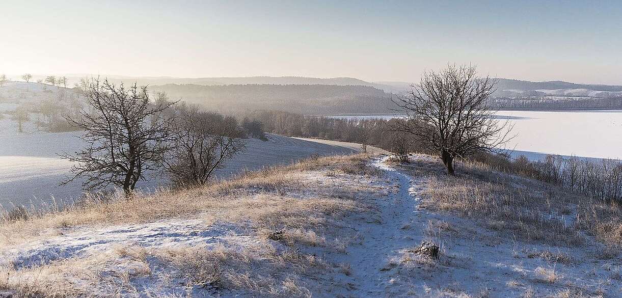 Rummelsberg at Brodowin