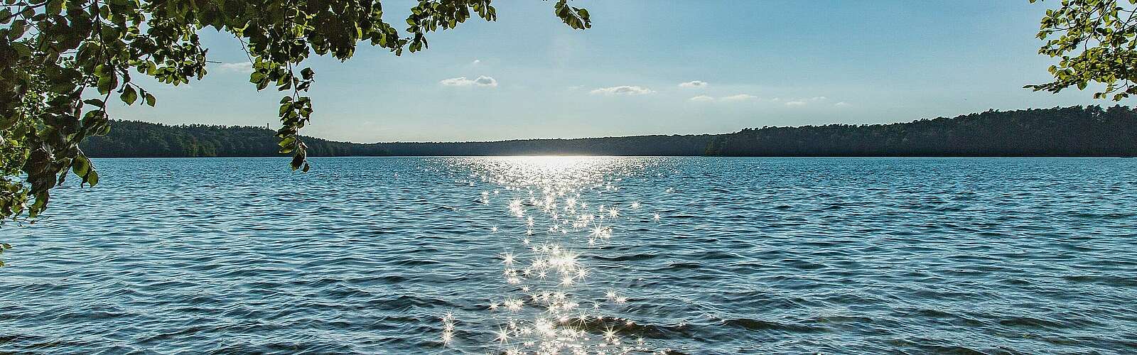 Stechlinsee,
            
        
                Picture: TMB Tourismus-Marketing Brandenburg GmbH/Steffen Lehmann