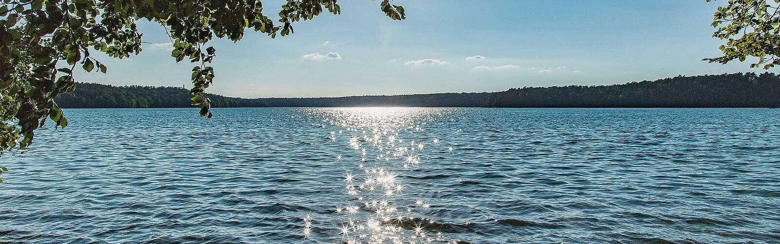 Stechlinsee