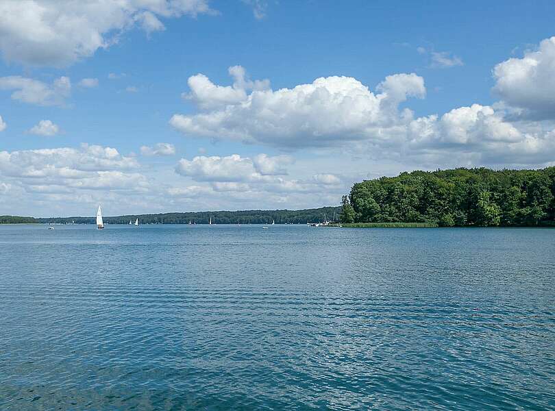 Segelboote auf dem Werbellinsee