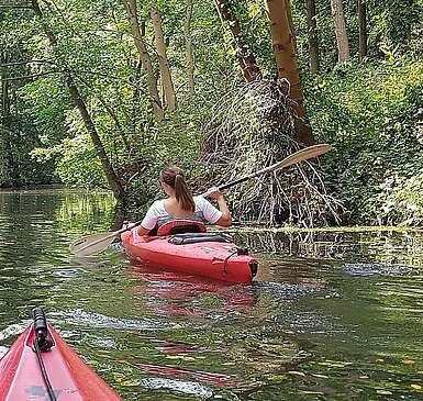 Canoe