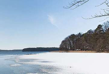 Winterlicher Stechlinsee
