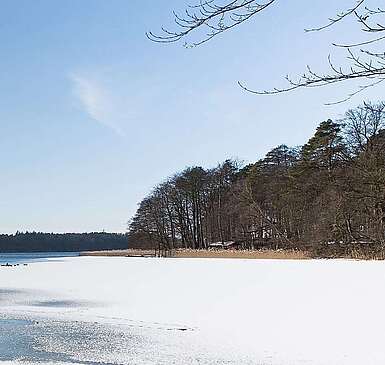 Winterlicher Stechlinsee