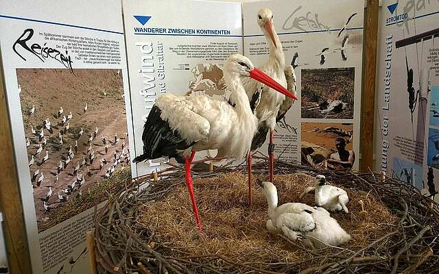 Ausstellung in der Storchenschmiede Linum
